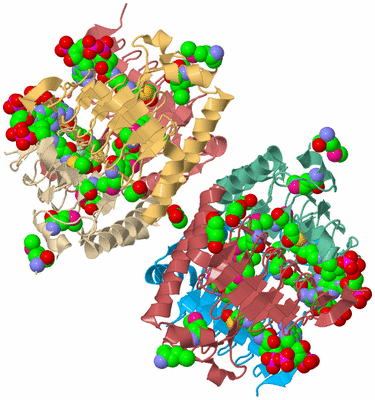 Image Biological Unit 2