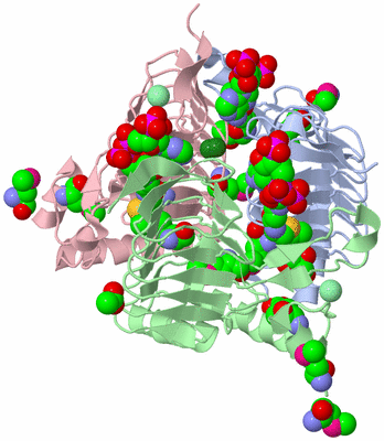 Image Biological Unit 3