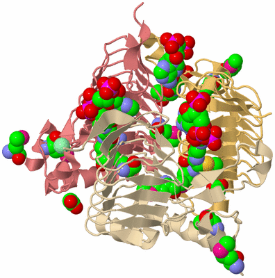 Image Biological Unit 5