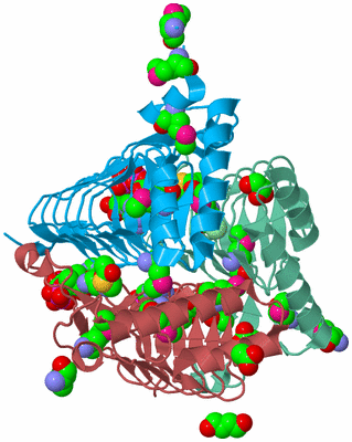 Image Biological Unit 6