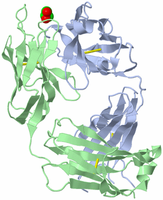 Image Biological Unit 1