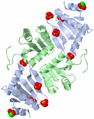 Image Biological Unit 2