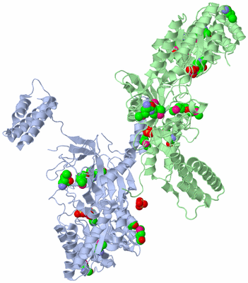 Image Biological Unit 2