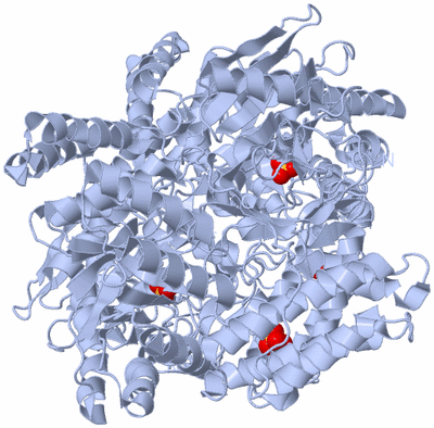 Image Biological Unit 1