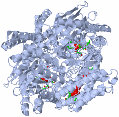 Image Biol. Unit 1 - sites