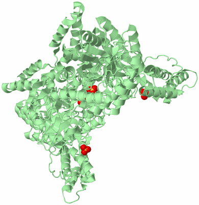 Image Biological Unit 2