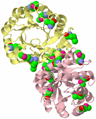 Image Biological Unit 2