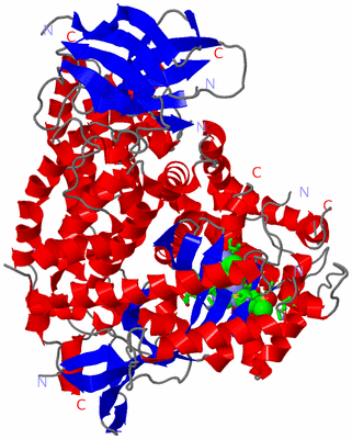 Image Asym./Biol. Unit - sites