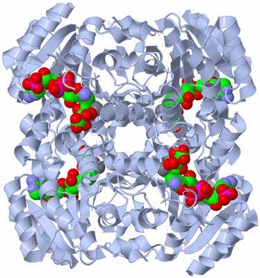 Image Biological Unit 1