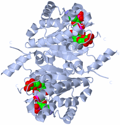 Image Biological Unit 2