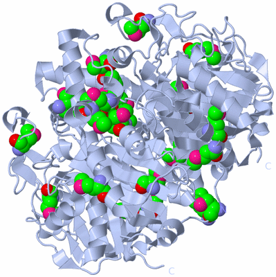 Image Biological Unit 2