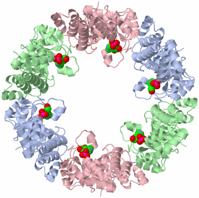 Image Biological Unit 1