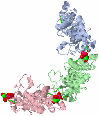 Image Asym. Unit - sites