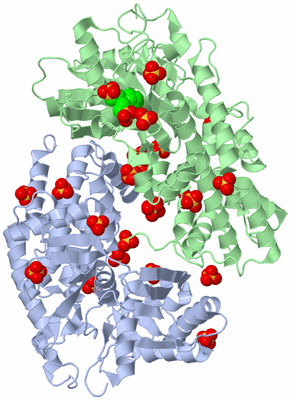 Image Asym./Biol. Unit