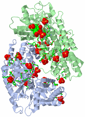 Image Asym./Biol. Unit - sites