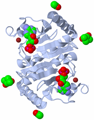 Image Biological Unit 1