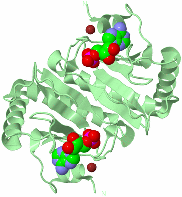 Image Biological Unit 2