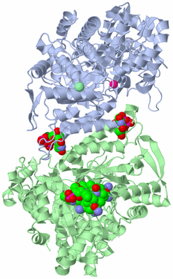 Image Asym./Biol. Unit