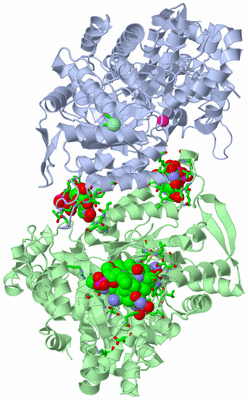 Image Asym./Biol. Unit - sites