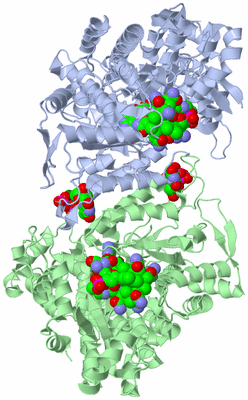 Image Asym./Biol. Unit