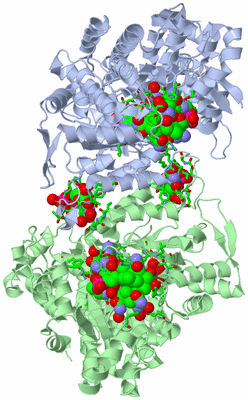 Image Asym./Biol. Unit - sites