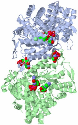 Image Asym./Biol. Unit