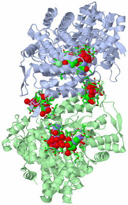 Image Asym./Biol. Unit - sites