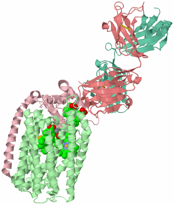 Image Asym./Biol. Unit