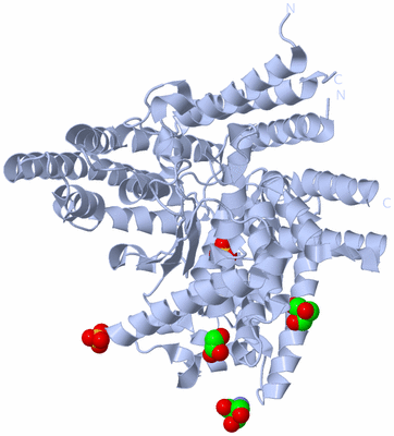 Image Biological Unit 1