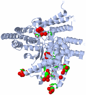 Image Biol. Unit 1 - sites