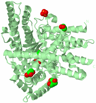 Image Biological Unit 2