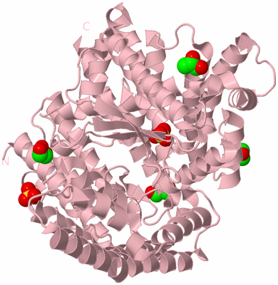 Image Biological Unit 3