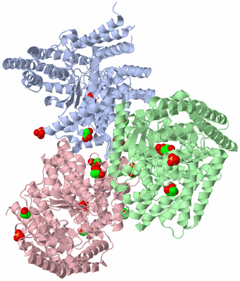 Image Biological Unit 4