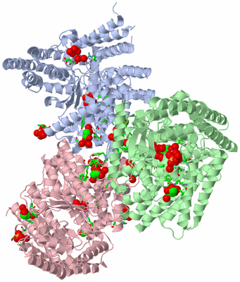 Image Asym. Unit - sites