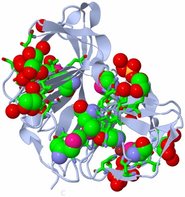 Image Biol. Unit 1 - sites