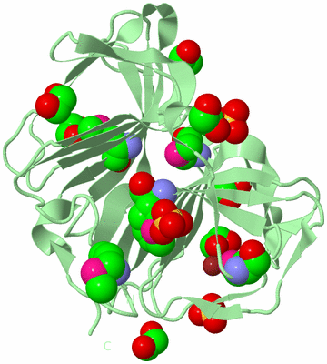 Image Biological Unit 2