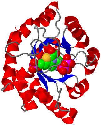 Image Asym./Biol. Unit