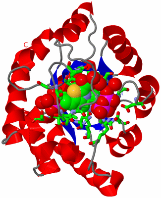 Image Asym./Biol. Unit - sites