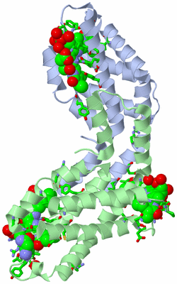 Image Asym. Unit - sites