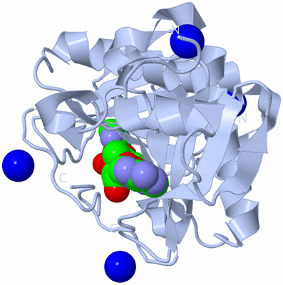 Image Biological Unit 1