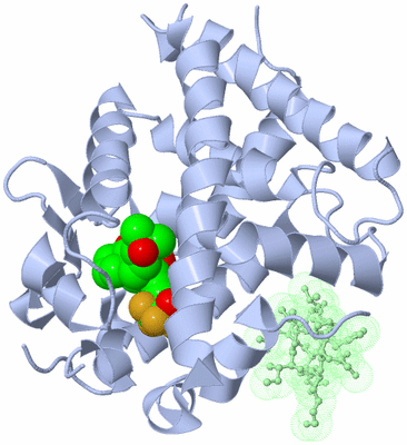 Image Biological Unit 1