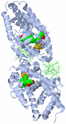 Image Biological Unit 2