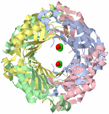 Image Biological Unit 1