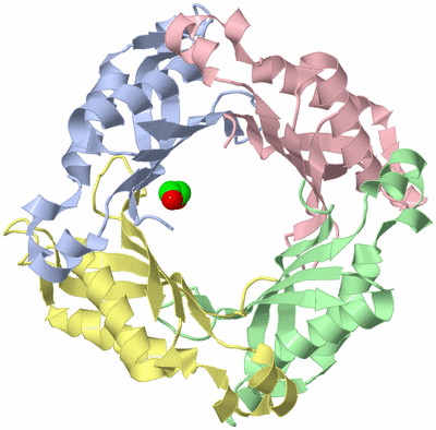 Image Biological Unit 2