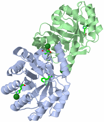 Image Asym./Biol. Unit - sites