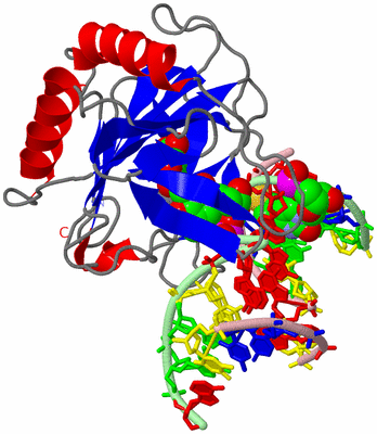 Image Asym./Biol. Unit