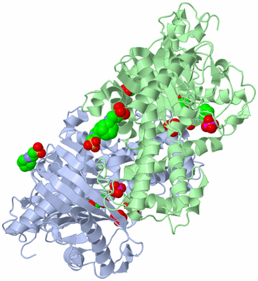 Image Asym./Biol. Unit