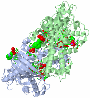 Image Asym./Biol. Unit - sites