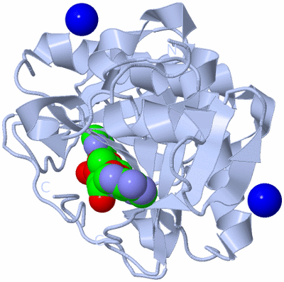 Image Biological Unit 1