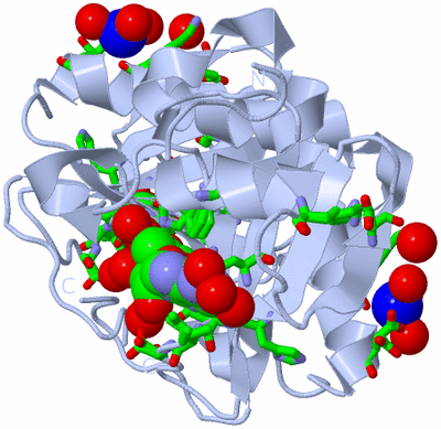 Image Biol. Unit 1 - sites